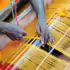 Why Kanchipuram Silk Sarees Are a Must-Have in Every Wardrobe