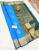 Trendy Design Pure Soft Silk Saree Sky Blue Color w/ Blouse