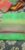 Pochampally Sarees Emerald Green w/ Sandrift Color
