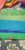 Pochampally Sarees Fern Green w/ Cerulean Blue Color